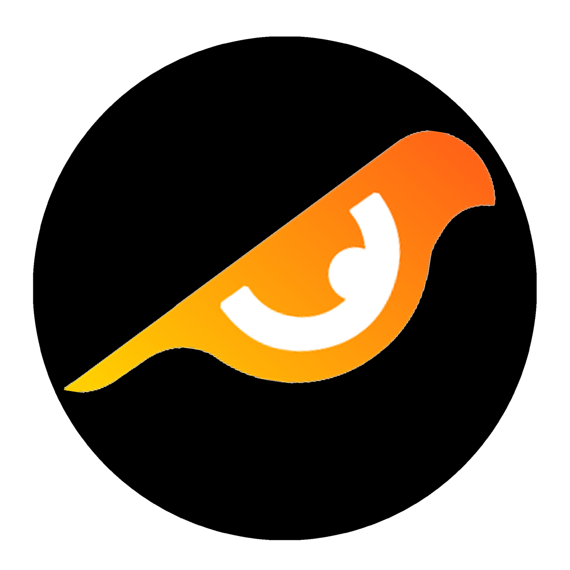 Logo Orca